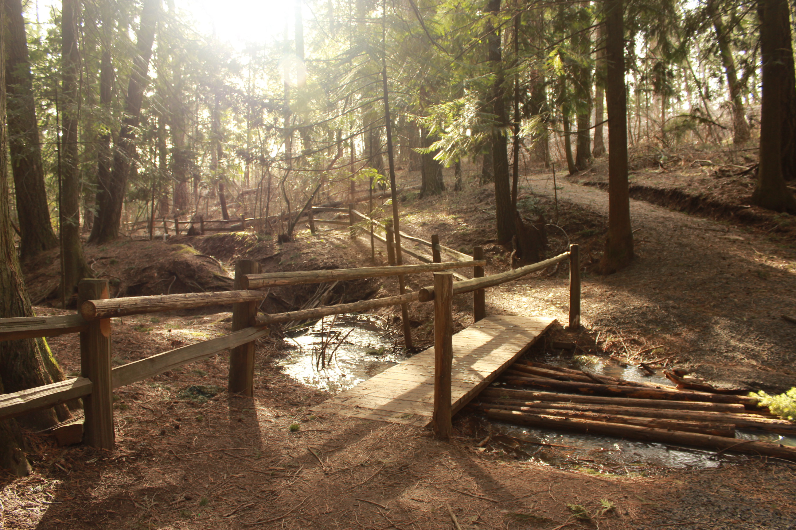 The view at Idler's Rest.