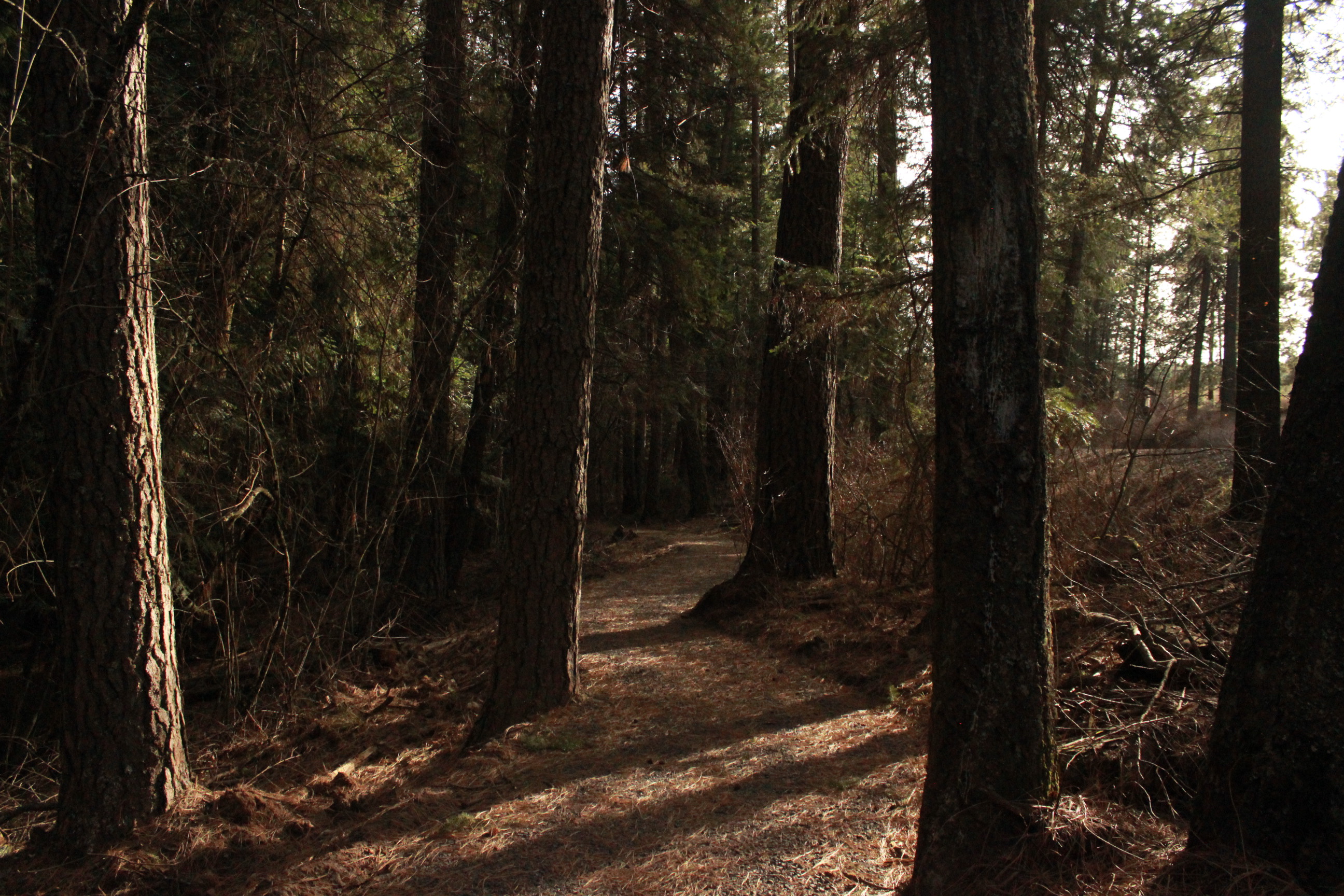 The view at Idler's Rest.