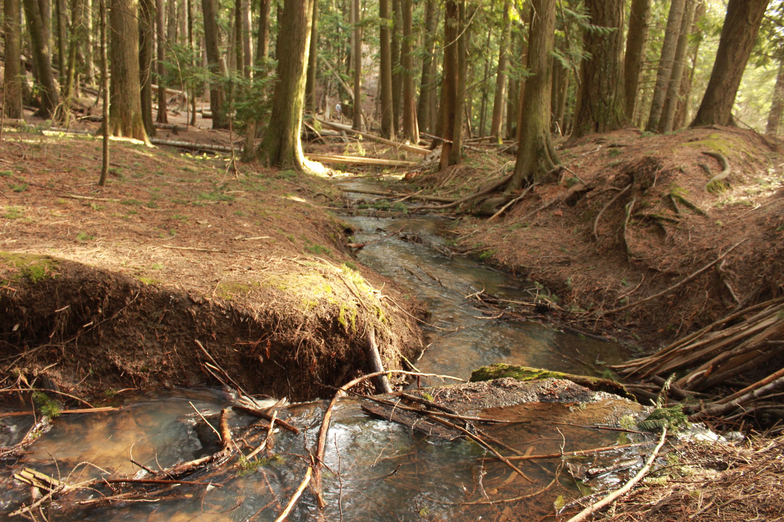 The view at Idler's Rest.