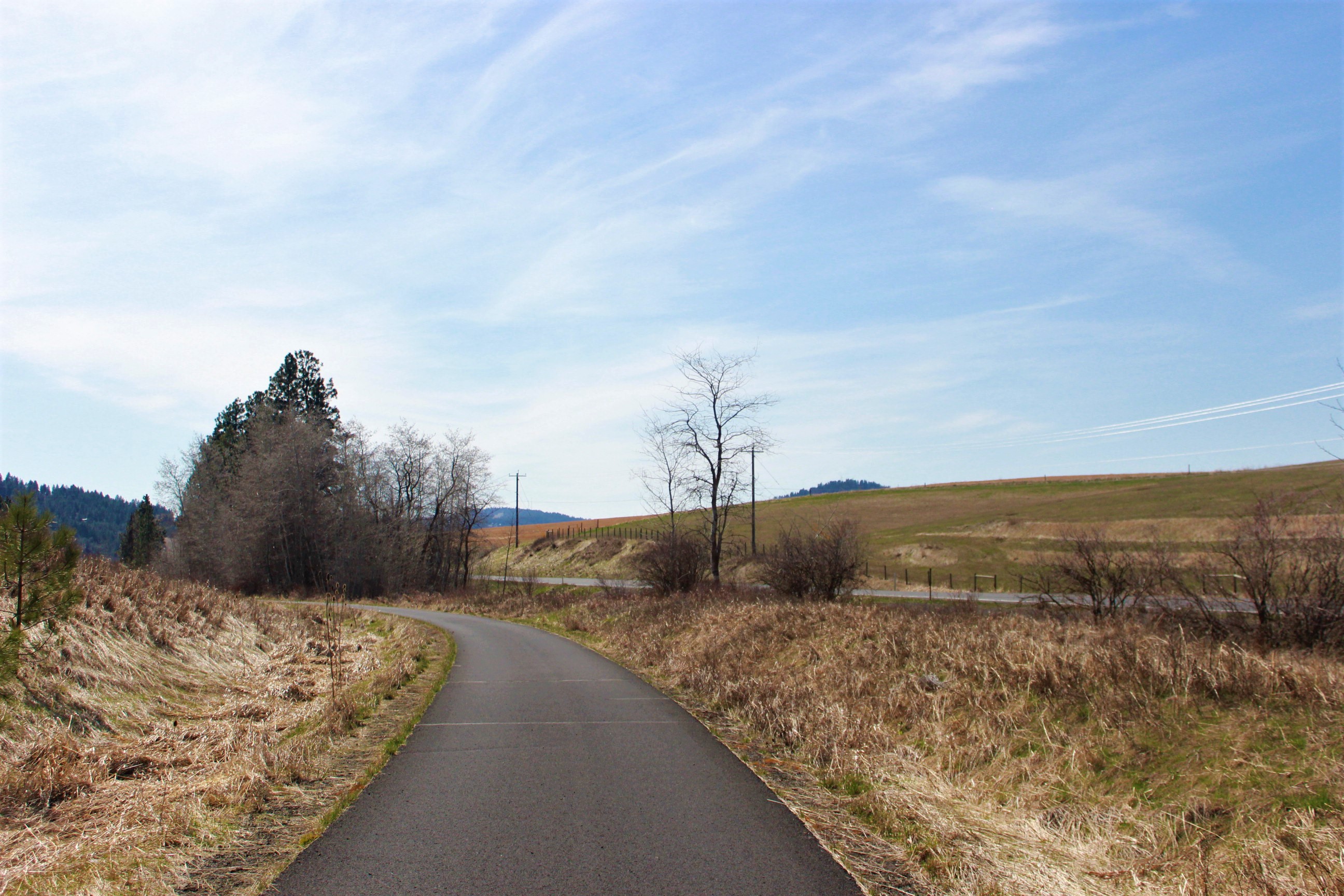 View at Latah Trail.