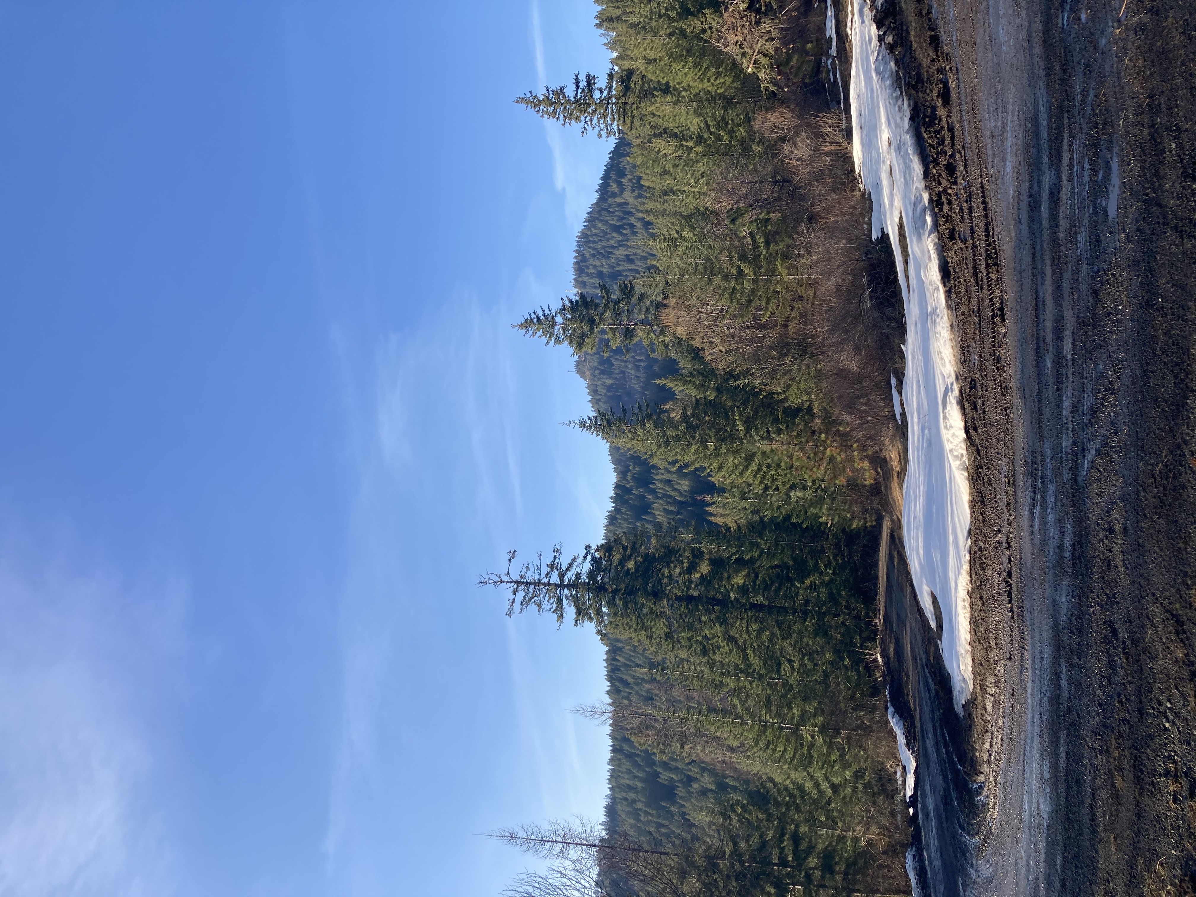 The view at a trail on Moscow Mountain.