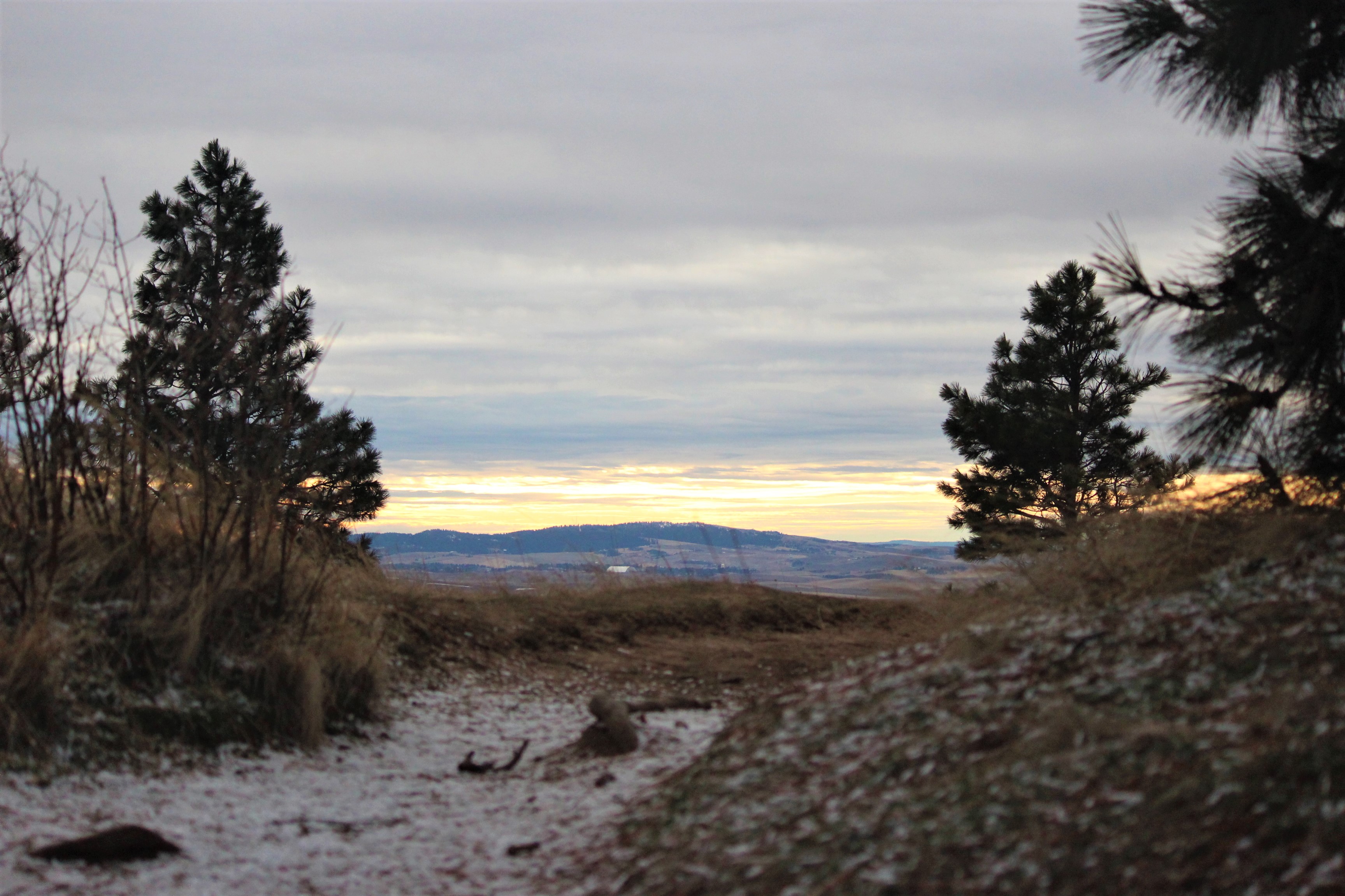 View of Kamiak Butte.