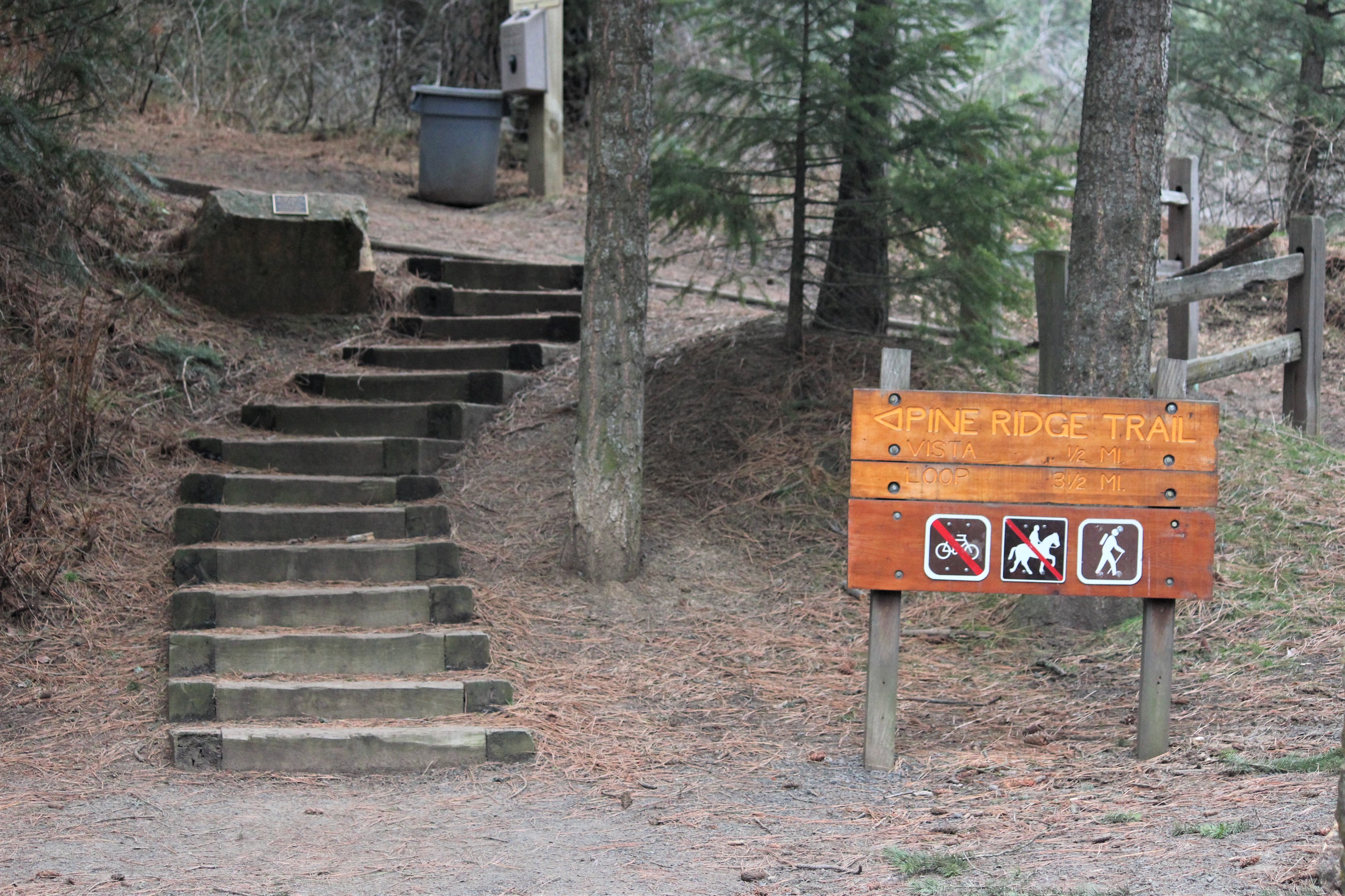 View of Kamiak Butte.